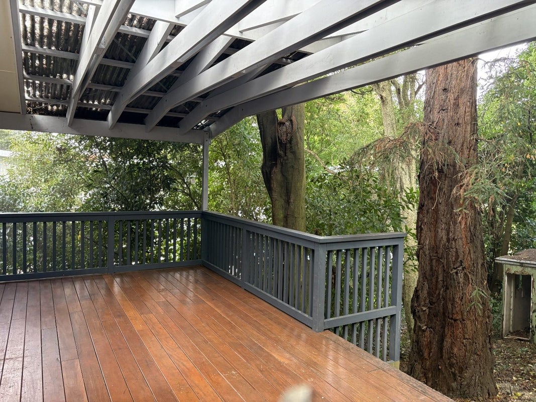 206 Albert Street, Hokowhitu, Palmerston North - Carousel 7