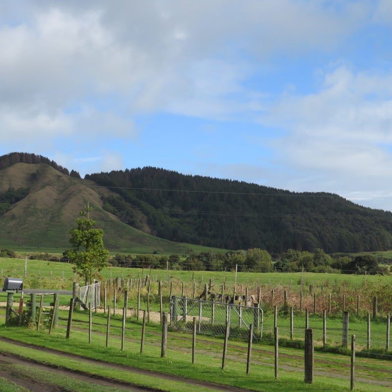 95 Lane Road, Nuhaka - Carousel 14