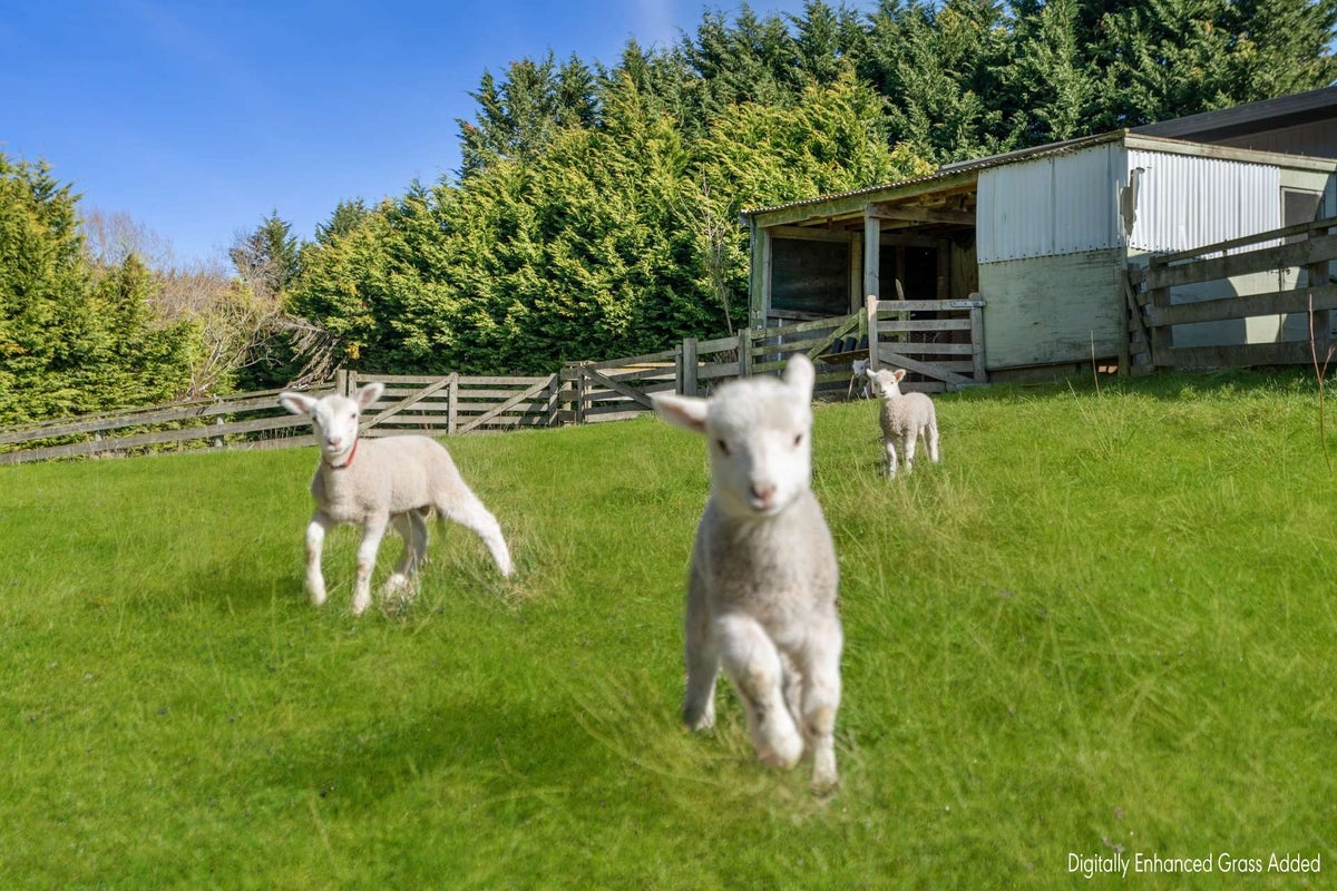 297 Homestead Road, Weston, Oamaru - Carousel 2