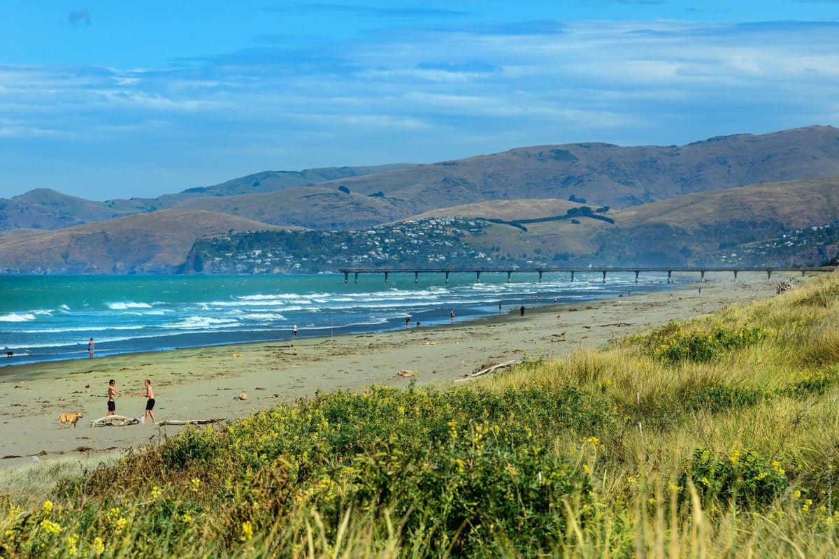56 Beach Road, North New Brighton, Christchurch - Carousel 30