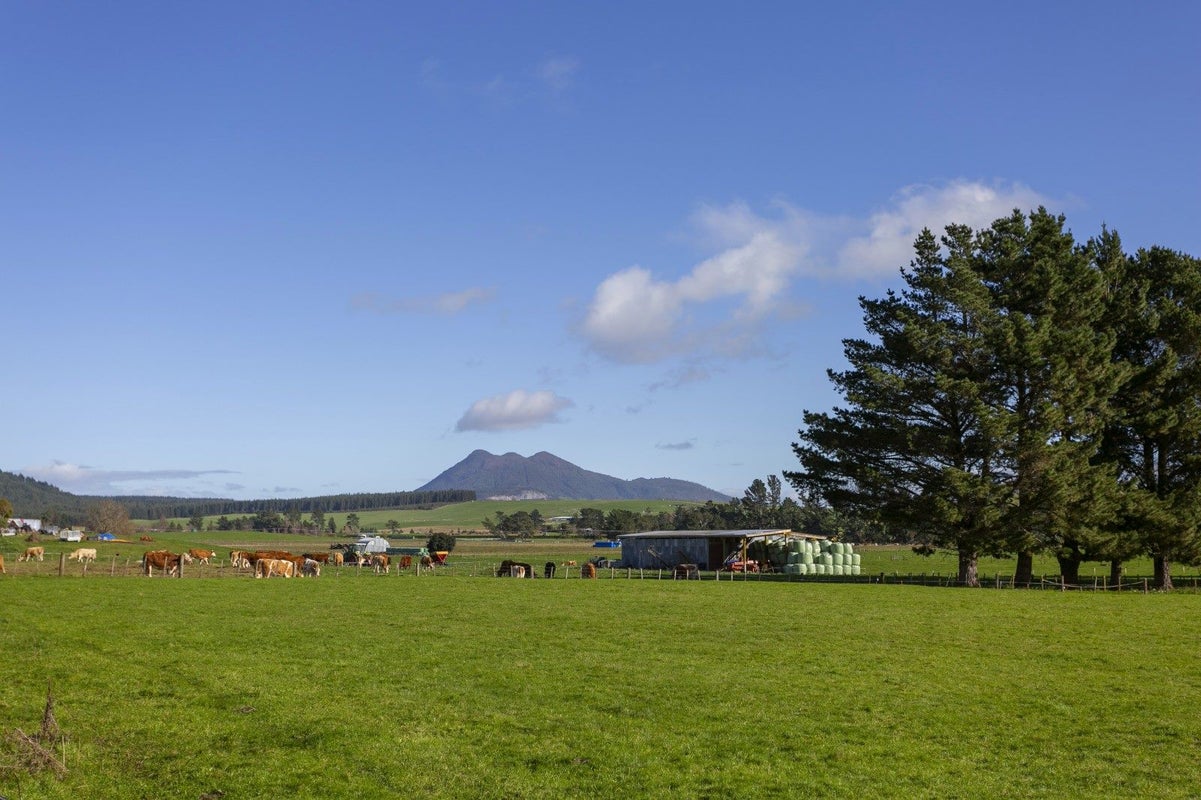 180 White Road, Broadlands, Reporoa - Carousel 30