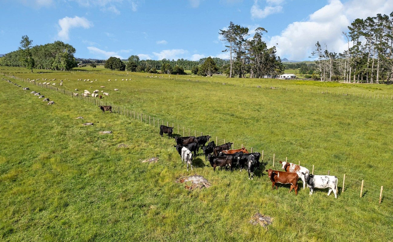 75 Malone Road, Poroti, Whangarei - Carousel 26
