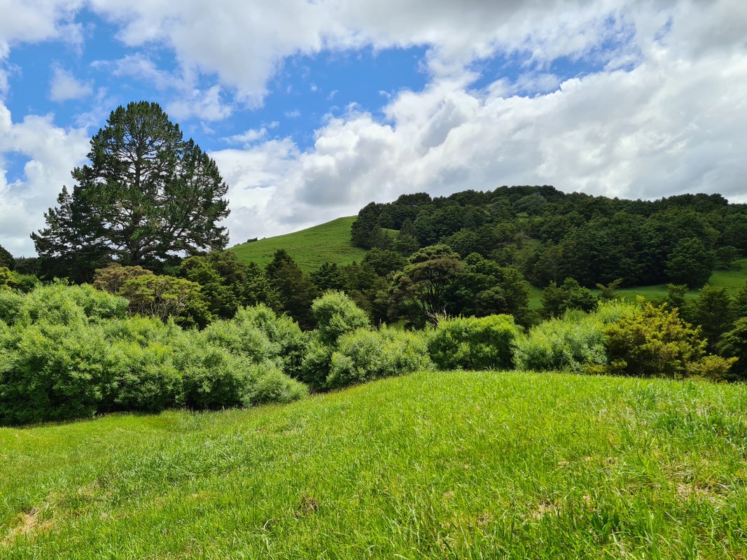 83 Payne Road, Topuni - Carousel 1