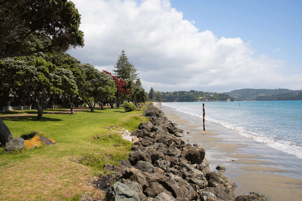 29 Makenu Crescent, Silverdale - Carousel 8