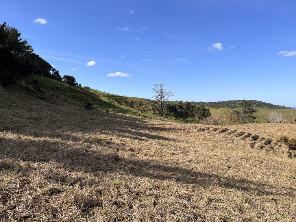 386 Cowan Bay Road, Pohuehue, Warkworth - Carousel 11