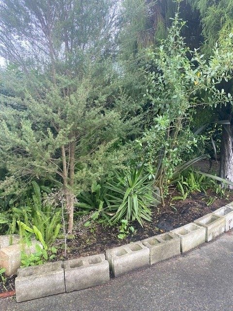 4 Mali Street, Dargaville - Carousel 9