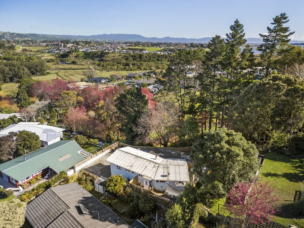 11 Graham Place, Bellevue, Tauranga - Carousel 2
