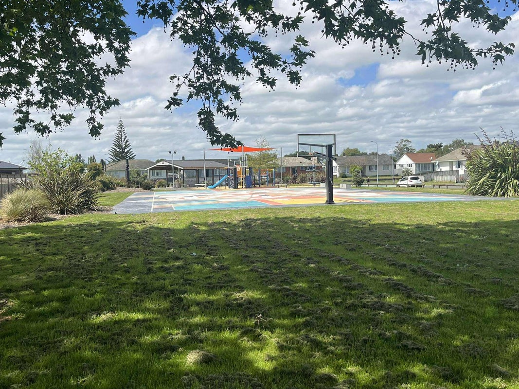 29 Raleigh Street, Awapuni, Palmerston North - Carousel 24
