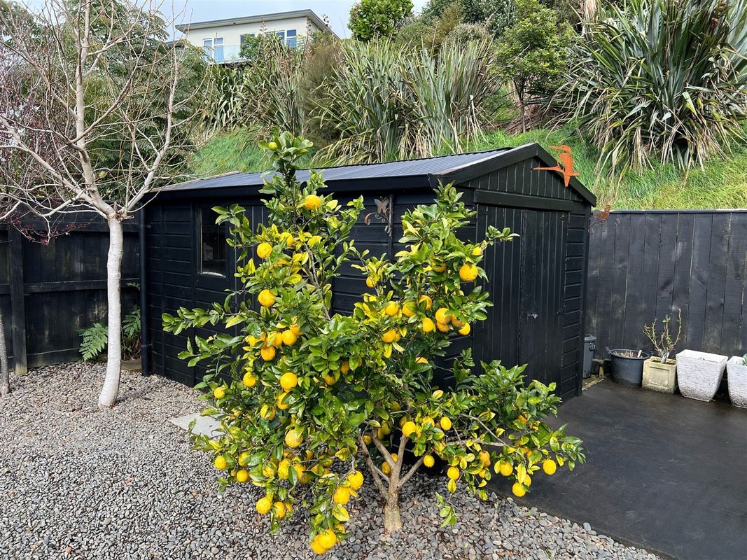 28 Fernbrook Drive, Hurworth, New Plymouth - Carousel 23