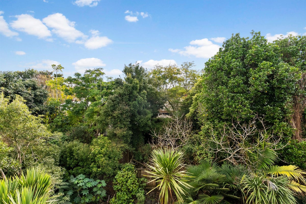 38/18 Edenvale Crescent, Mount Eden, Auckland - Carousel 14