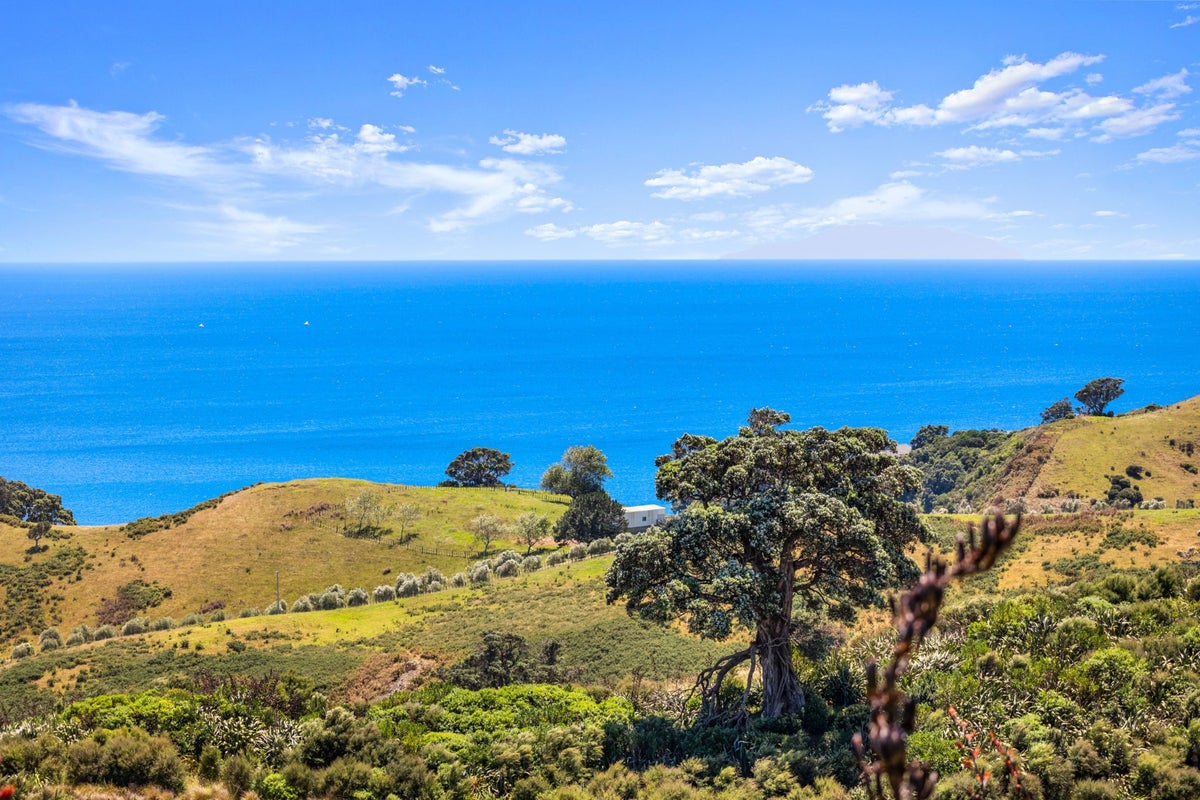34 View Road, Waiheke Island, Auckland - Carousel 2