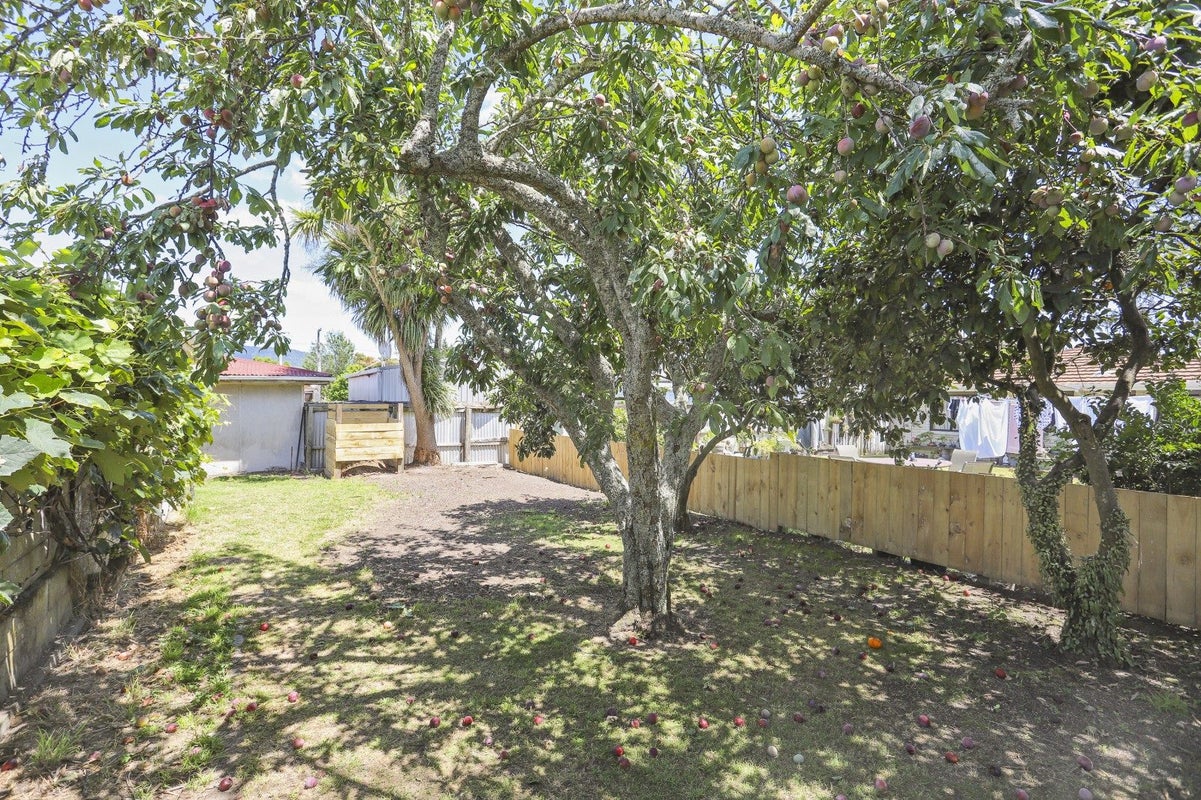36 Tui Street, Te Puke, Te Puke - Carousel 15