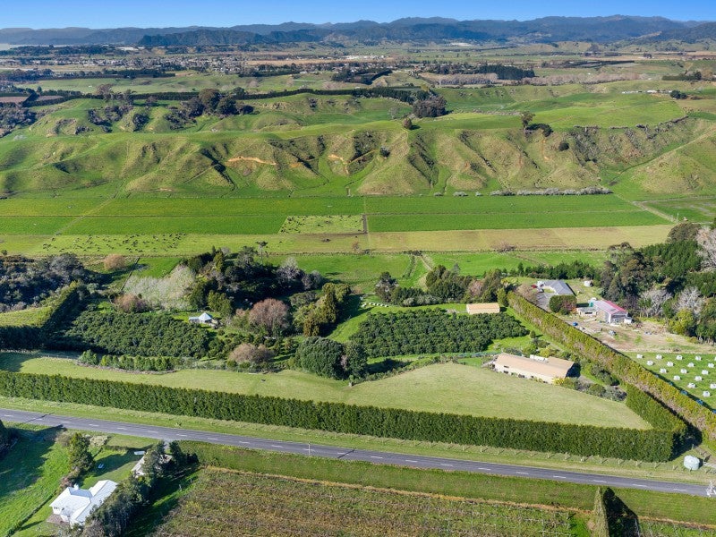 333 Paerata Ridge Road, Waiotahe, Opotiki - Carousel 2