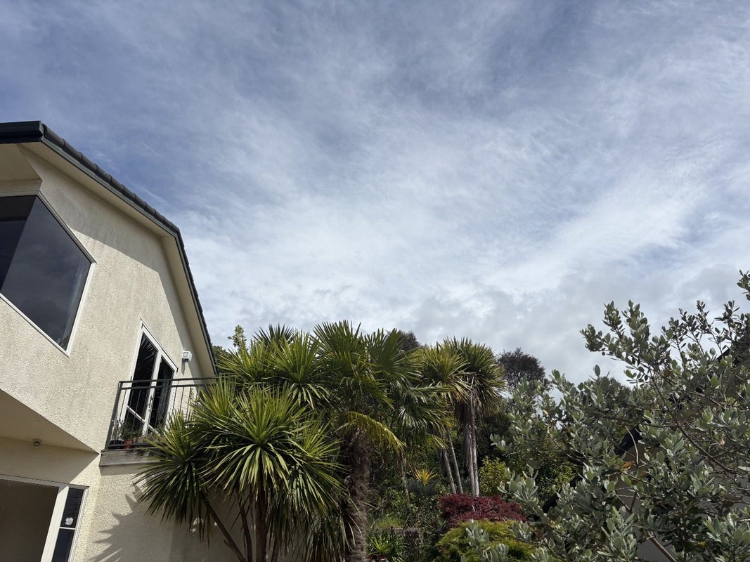159 Carlton Street, Bellevue, Tauranga - Carousel 12