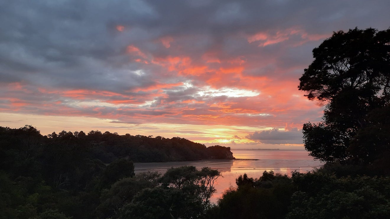 72 Laingholm Drive, Laingholm, Auckland - Carousel 16