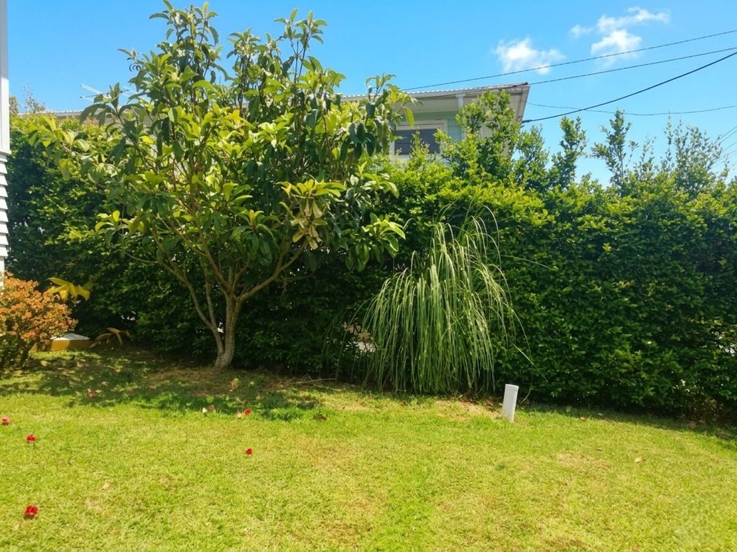 31 Trinidad Road, Sunnynook, Auckland - Carousel 14