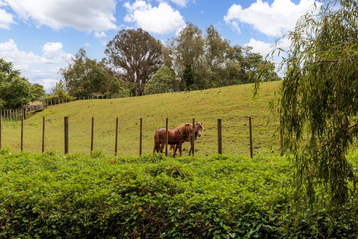 47 Pook Road, Buckland - Carousel 15