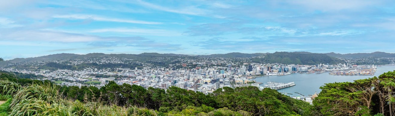 702/131 Brougham Street, Mount Victoria, Wellington - Carousel 24