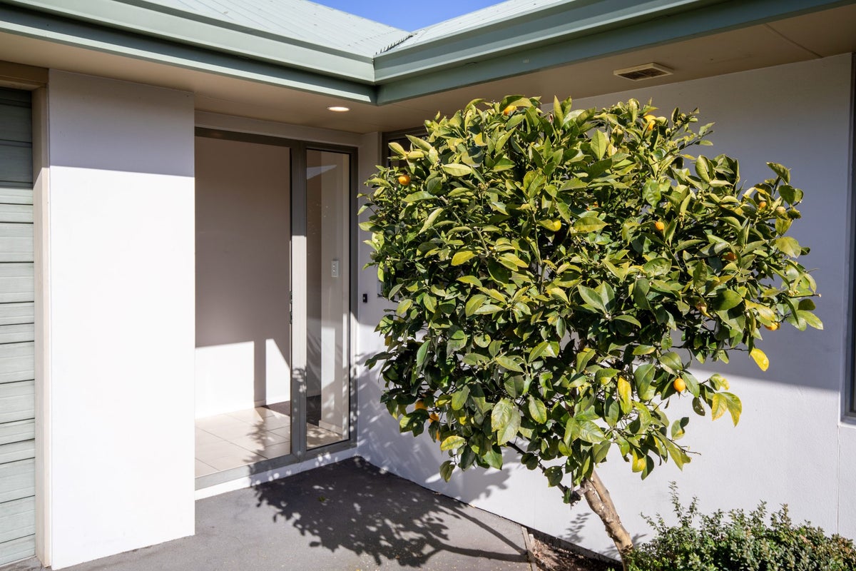 48A Richards Avenue, Papanui, Christchurch - Carousel 21