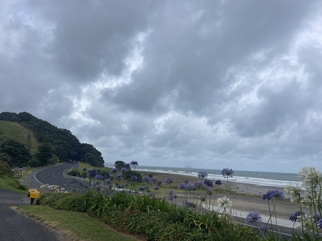 1254 State Highway 2, Waiotahe, Opotiki - Carousel 7