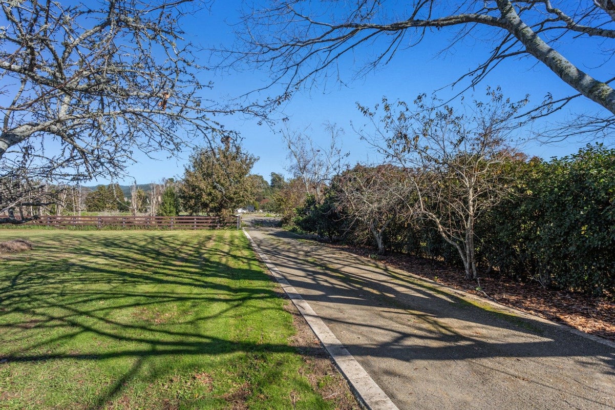 95 White Pine Bush Road, Awakeri, Whakatane - Carousel 20