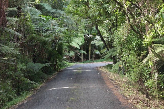 54 Glen Brook Road, Ōmiha, Waiheke Island - Carousel 2