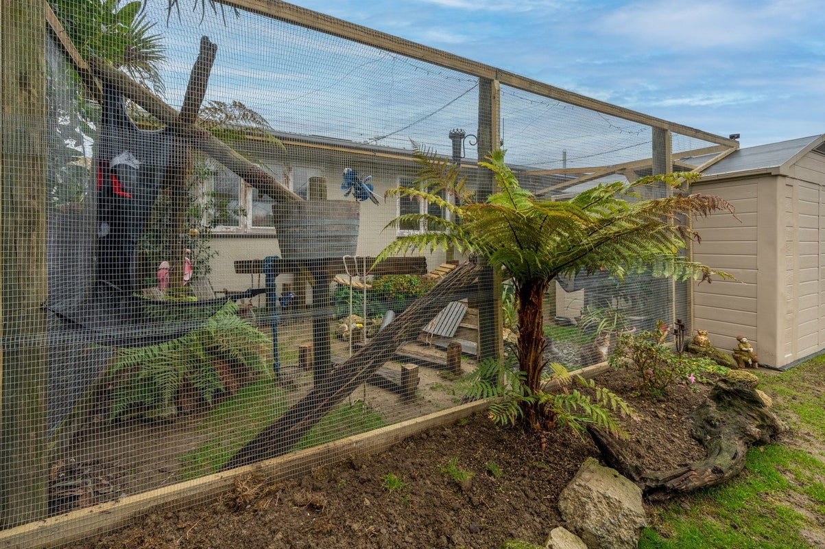 99 Geddis Avenue, Maraenui, Napier - Carousel 10