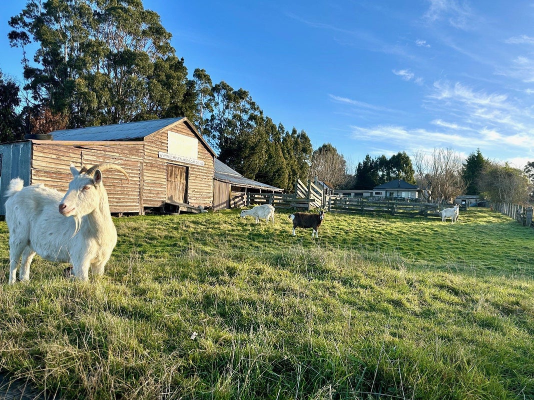 520 Milton Highway, Stony Creek, Balclutha - Carousel 1