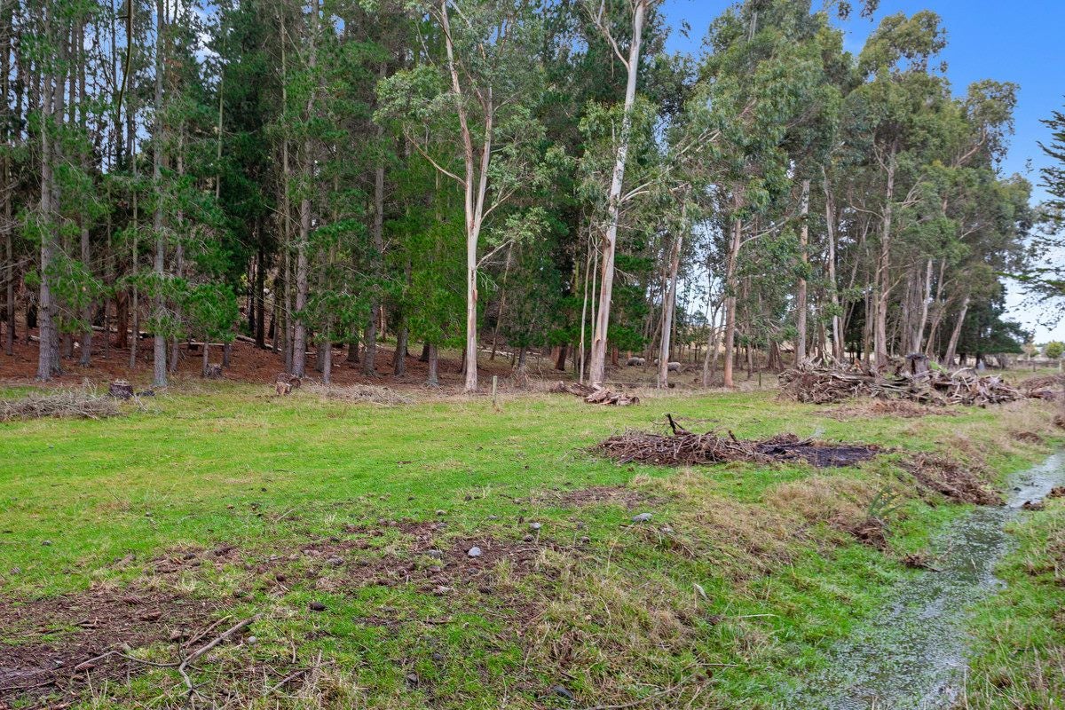 157 Round Hill Road, Loburn, Rangiora - Carousel 9