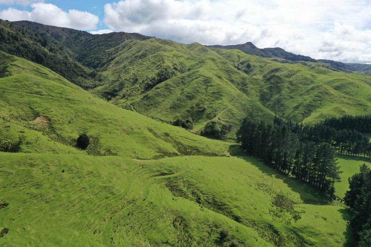 0 Kopikopiko Rd, Pahiatua - Carousel 24