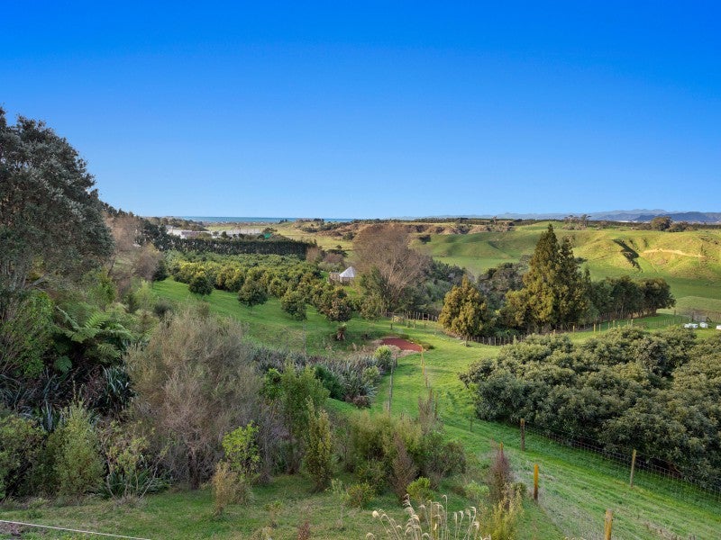 333 Paerata Ridge Road, Waiotahe, Opotiki - Carousel 26