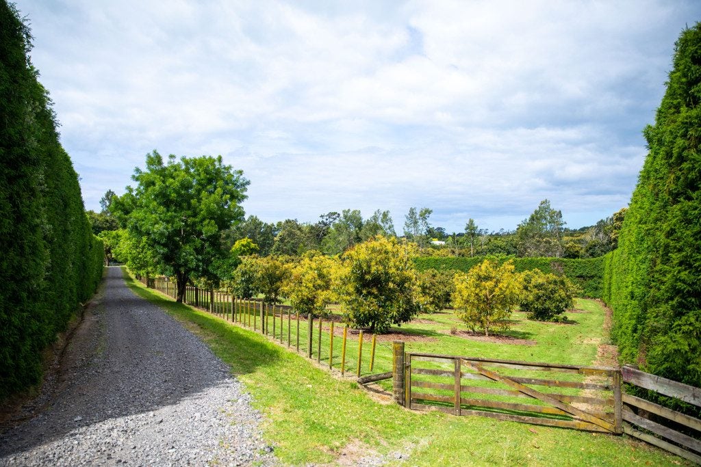 41D Waiau Road, Athenree Gorge, Katikati - Carousel 32