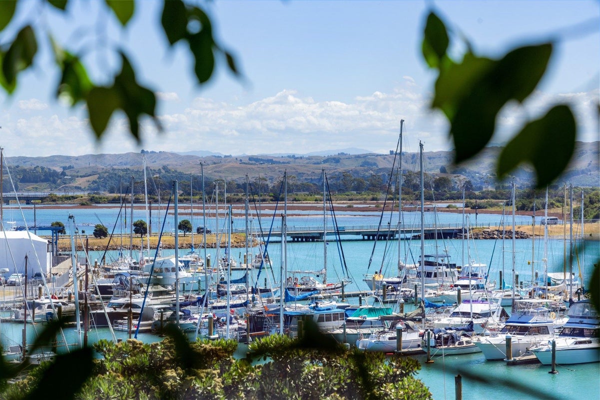 201/1 Lever Street, Ahuriri, Napier, Hawke's Bay - Carousel 25