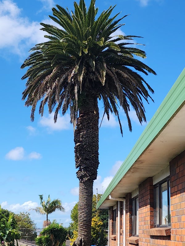 2/63 Coronation Road, Papatoetoe, Auckland - Carousel 6