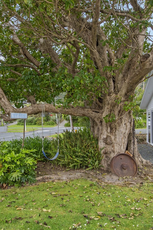 3 Cornfoot Avenue, Whangarei - Carousel 20