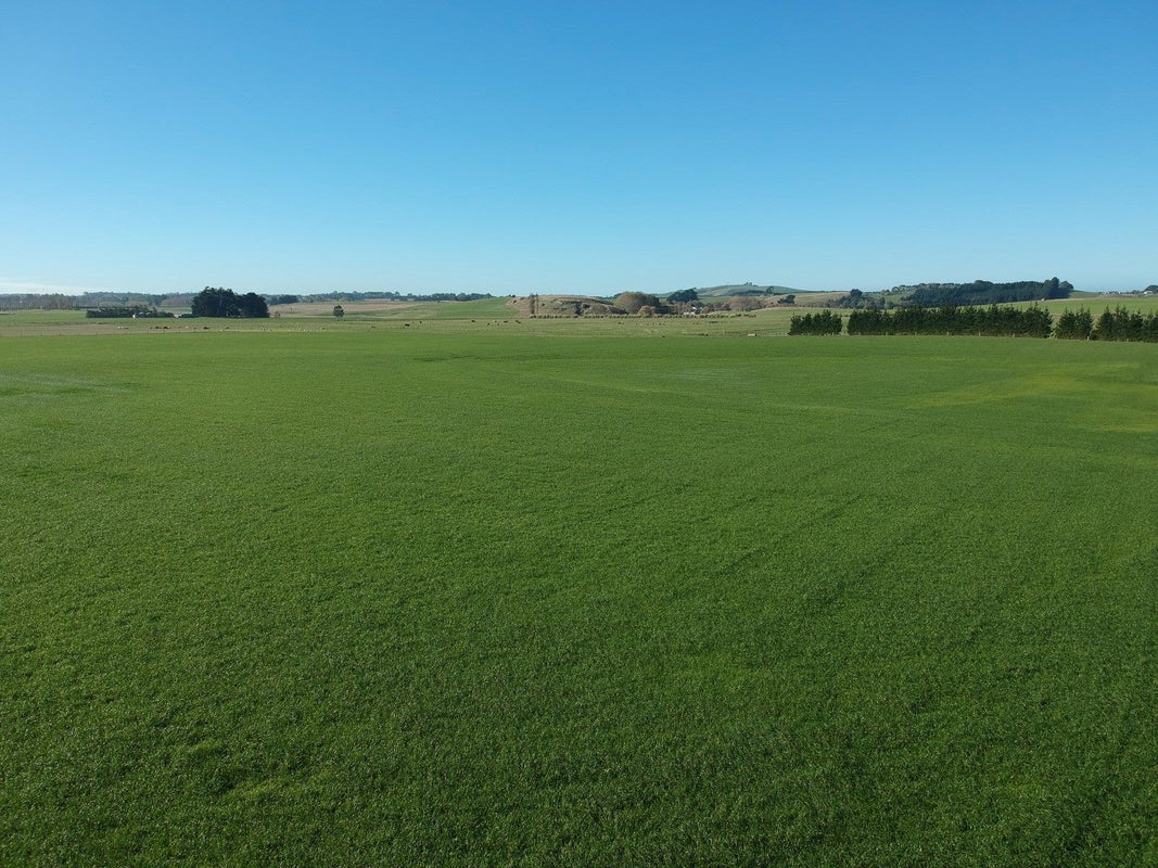 0 Springfield Rd, Totara, Oamaru - Carousel 10