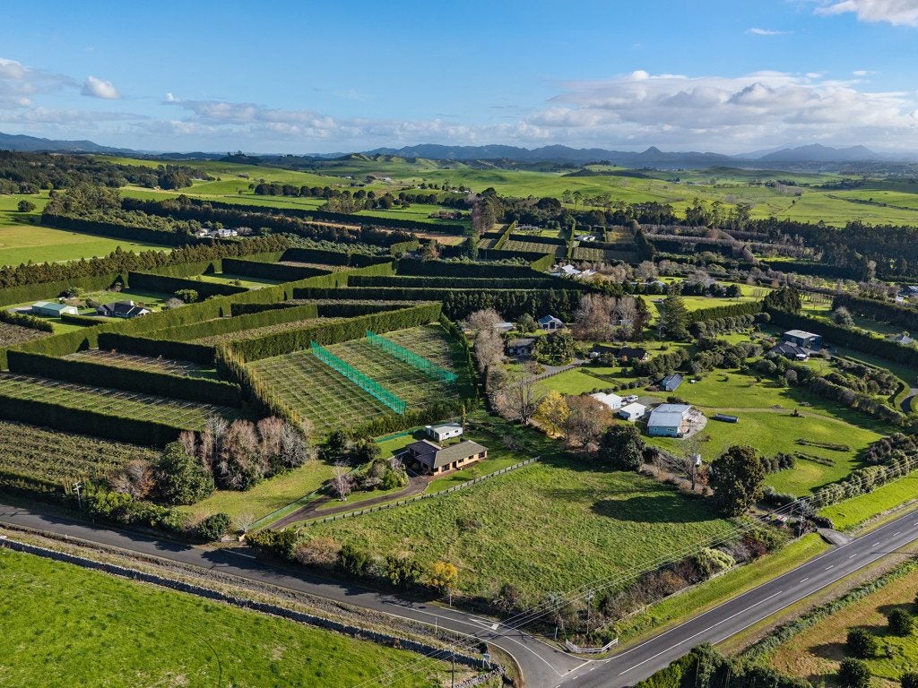 8 Simons Road, Whangarei - Carousel 25
