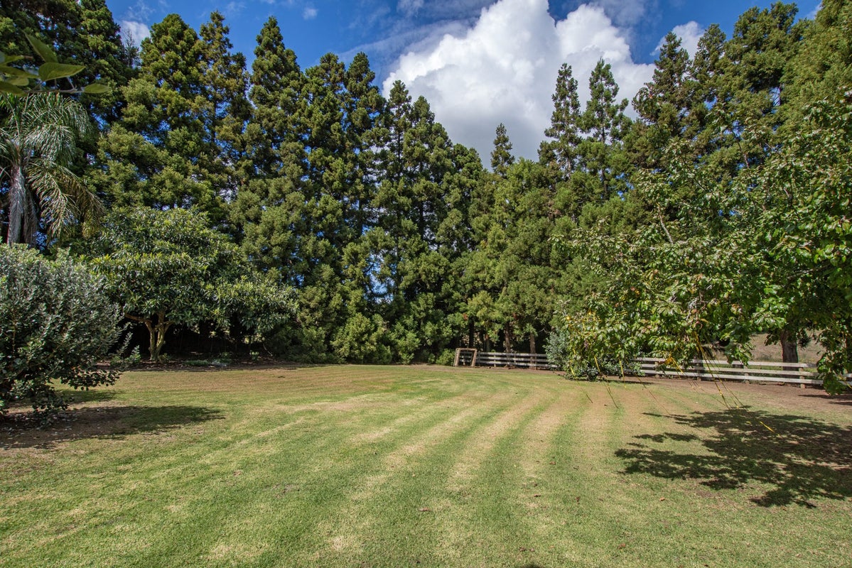 133 Apotu Road, Kamo - Carousel 2