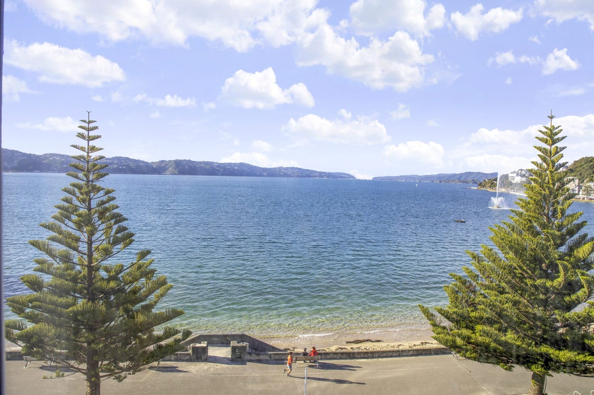 3/178 Oriental Parade, Oriental Bay, Wellington - Carousel 2