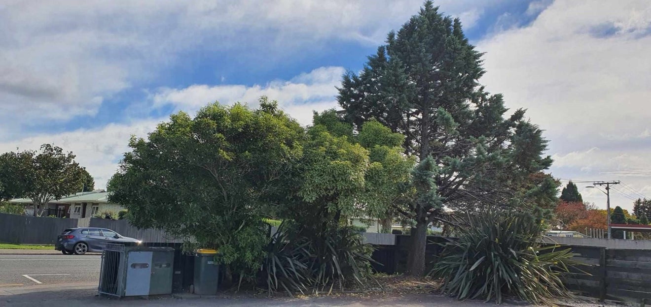 6 Hilton Road, Lynmore, Rotorua - Carousel 18