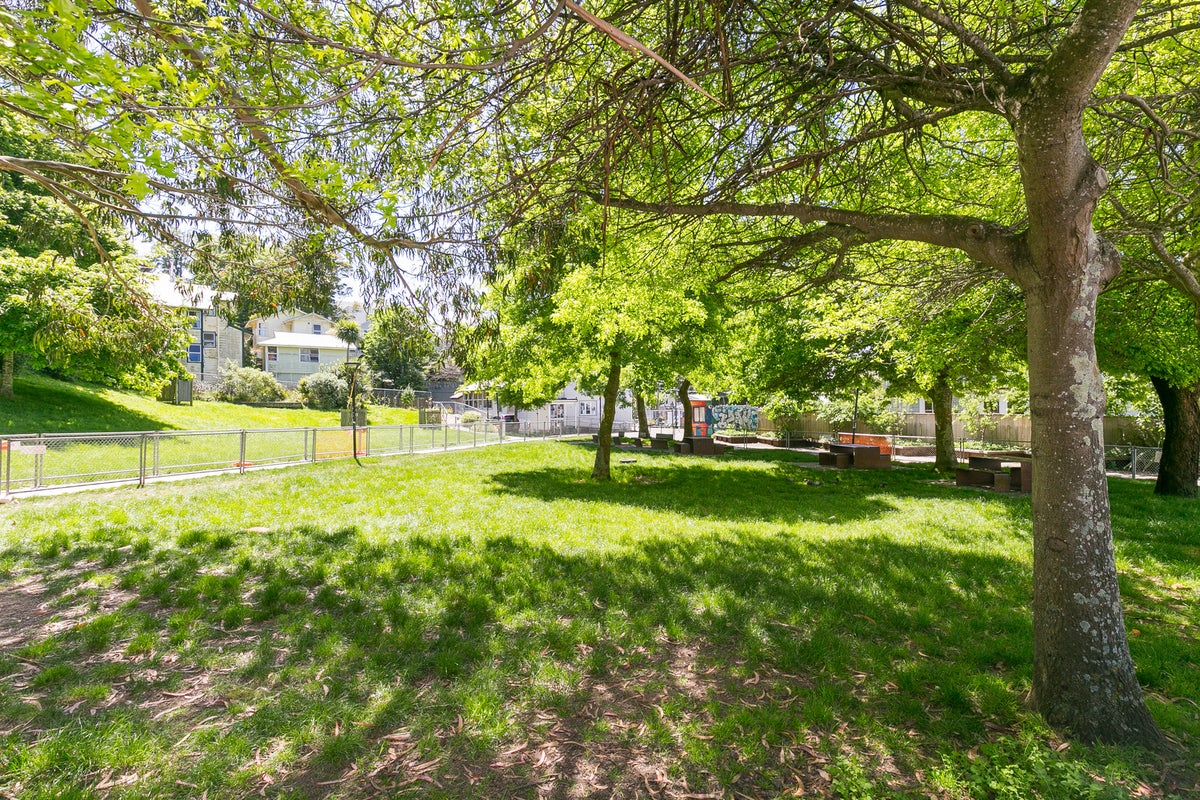 8/2 Ohiro Road, Aro Valley, Wellington - Carousel 15