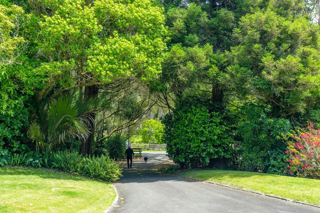 1234 Paekakariki Hill Road, Paekakariki Hill, Porirua - Carousel 2