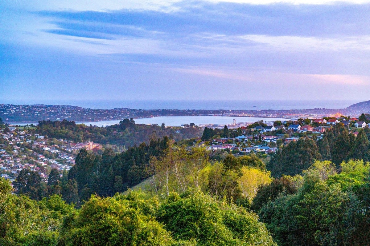 8 Watkin Street, Pine Hill, Dunedin - Carousel 2