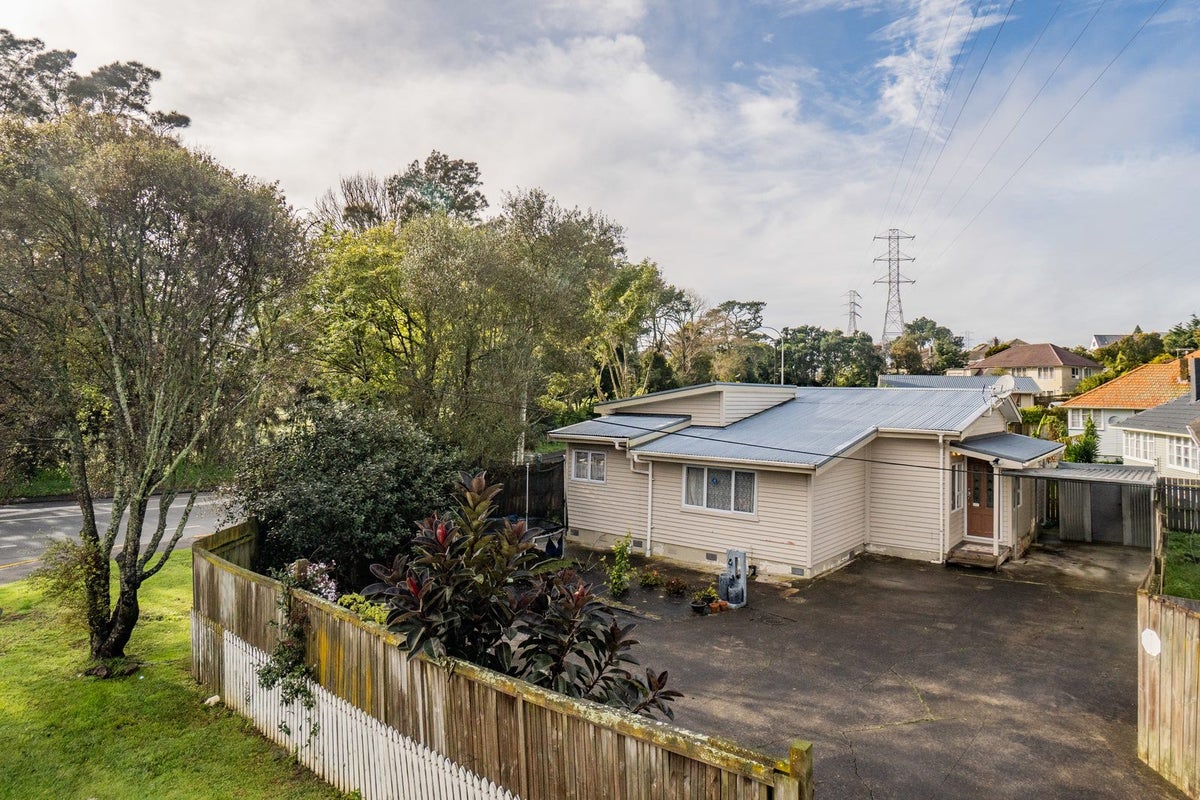 2A Nash Road, Mount Roskill, Auckland - Carousel 2