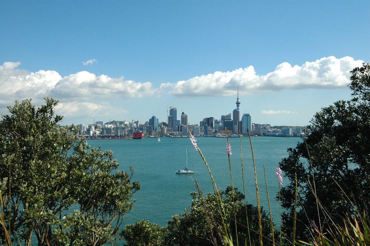 402/45 STANLEY POINT RD, Stanley Point, Auckland - Carousel 22