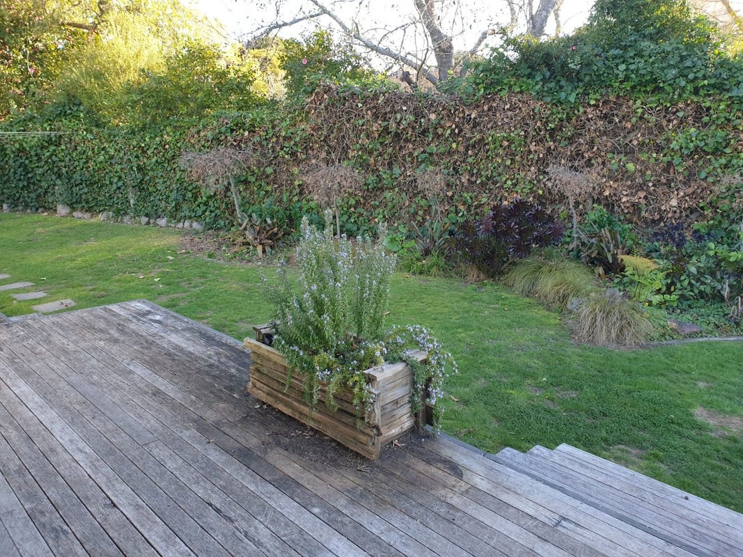 1A Padfield Place, Havelock North, Havelock North - Carousel 20