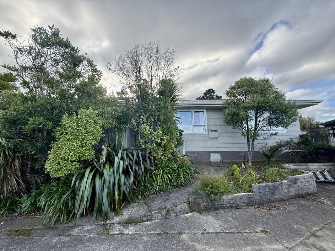 247 Mitchell Street, Brooklyn, Wellington - Carousel 1
