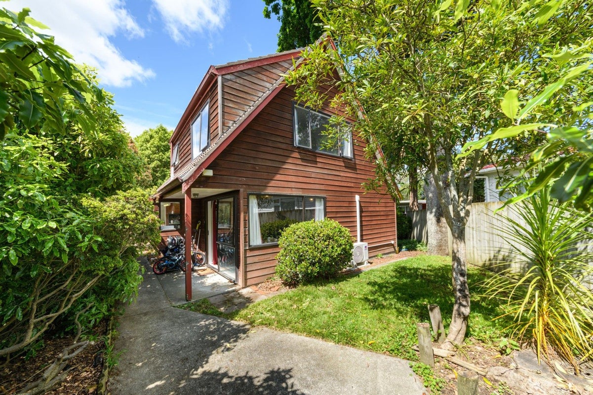 572A Featherston Street, Roslyn, Palmerston North - Carousel 17