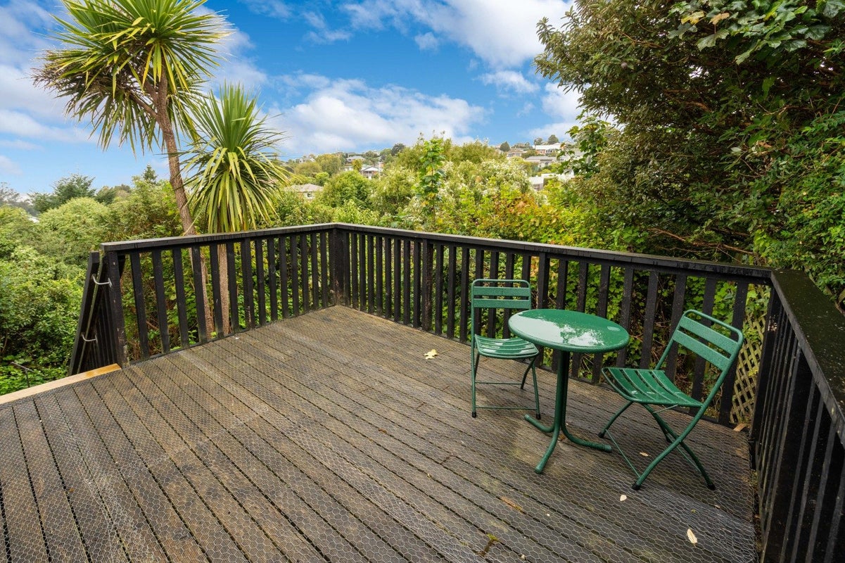 12 Dalry Street, Mornington, Dunedin - Carousel 2