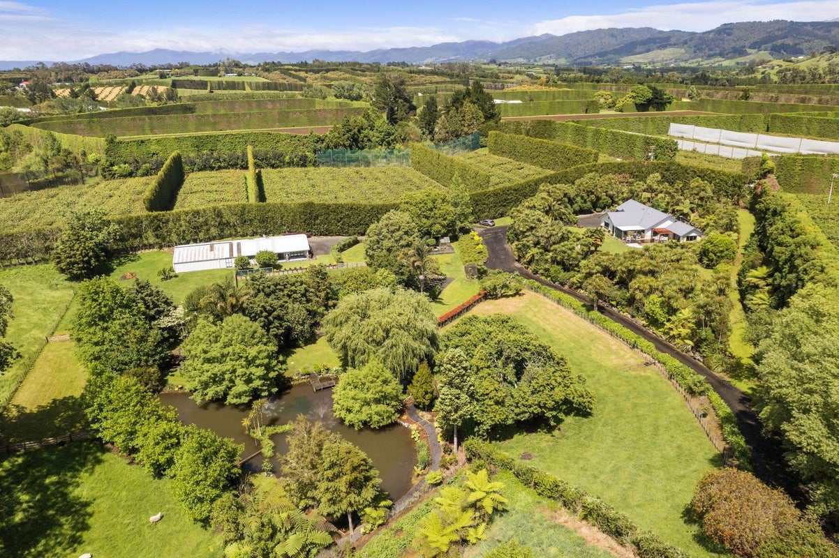 24 Tuapiro Road, Tahawai, Katikati - Carousel 2